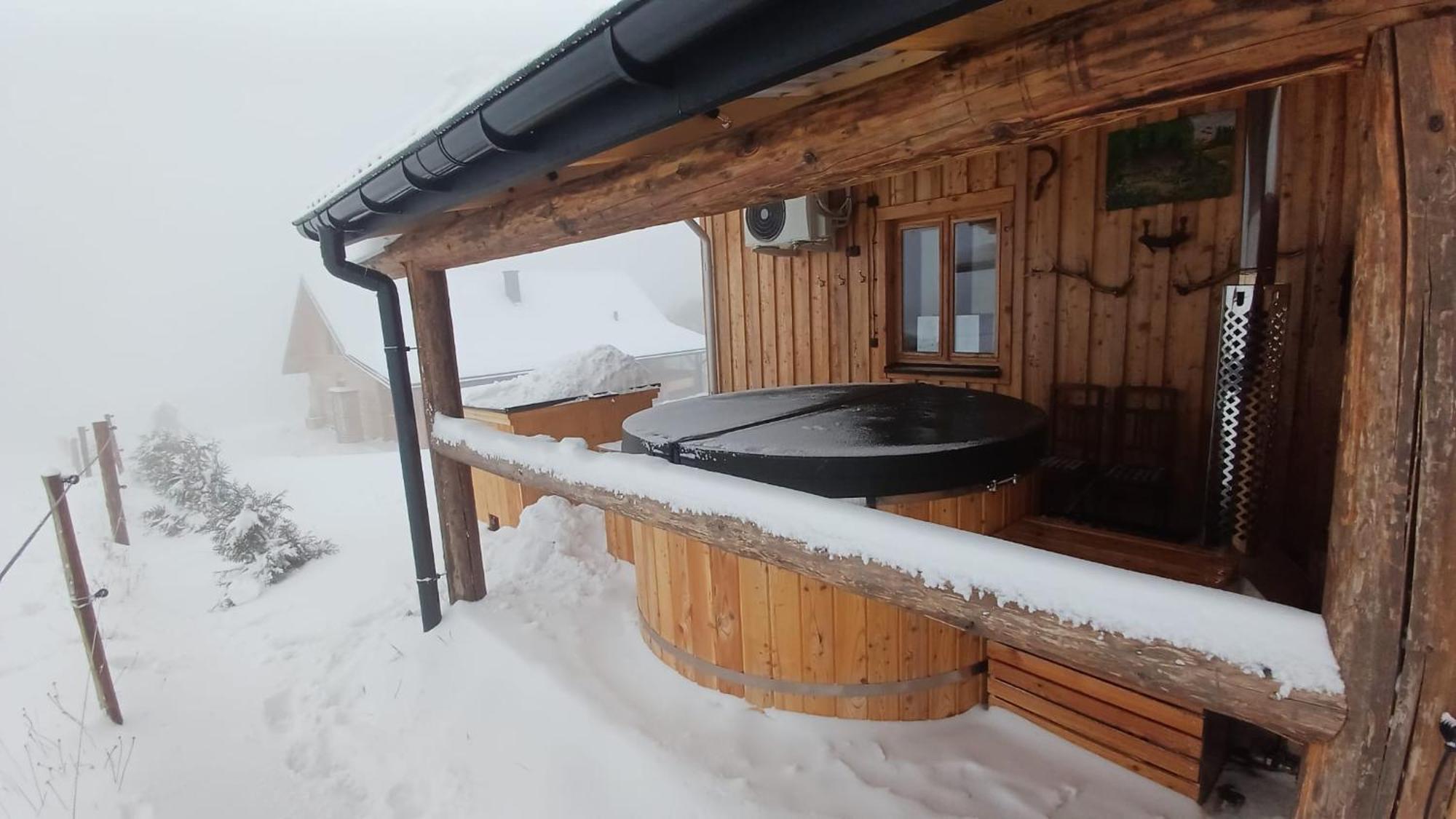 Kuznia Nowica Apartment Uscie Gorlickie Екстериор снимка